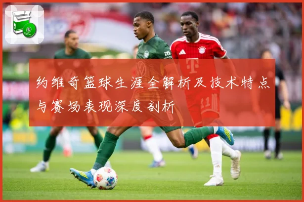 约维奇篮球生涯全解析及技术特点与赛场表现深度剖析
