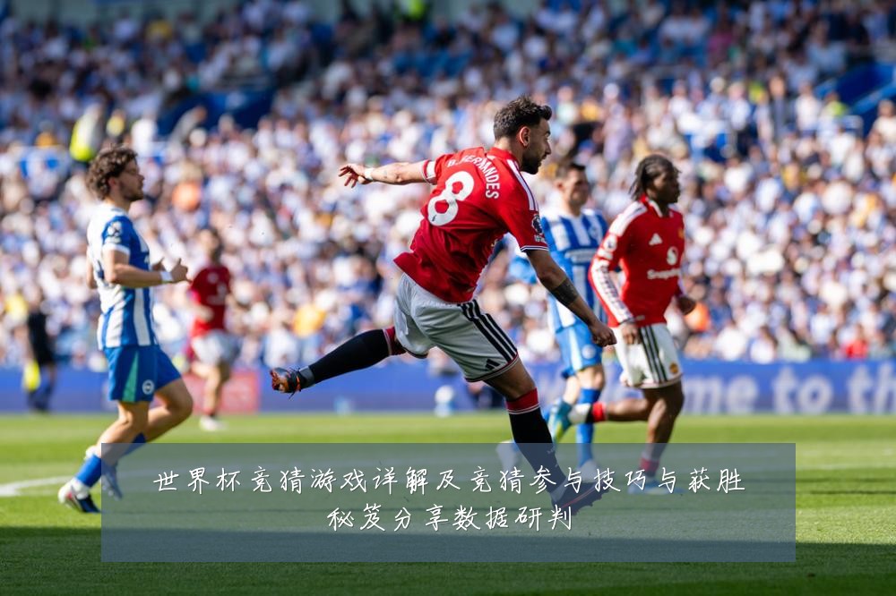 世界杯竞猜游戏详解及竞猜参与技巧与获胜秘笈分享数据研判